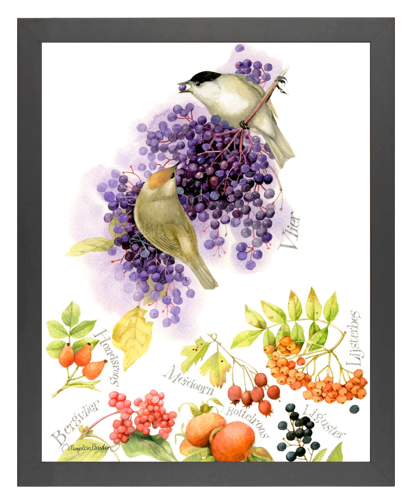 BlackCap Buffet - Art Prints