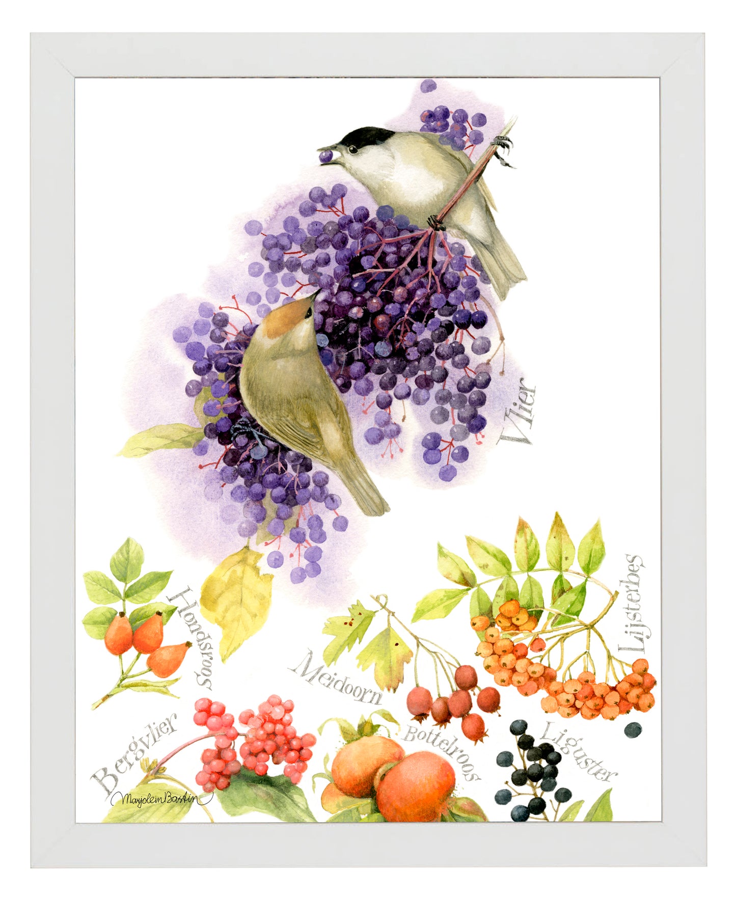 BlackCap Buffet - Art Prints