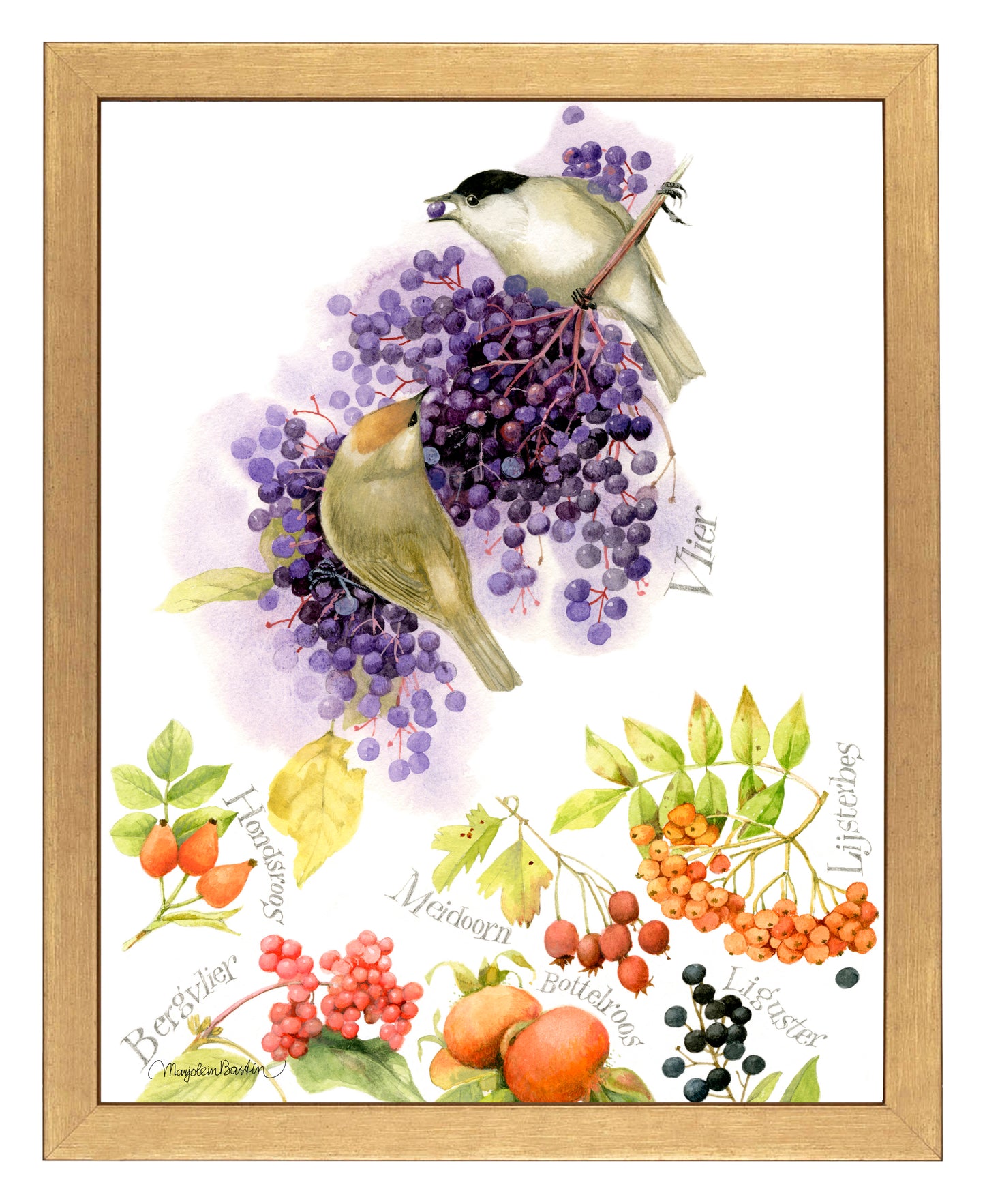 BlackCap Buffet - Art Prints