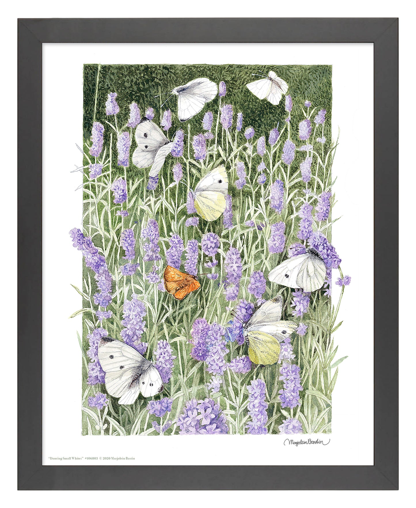 Dancing Small Whites - Art Prints