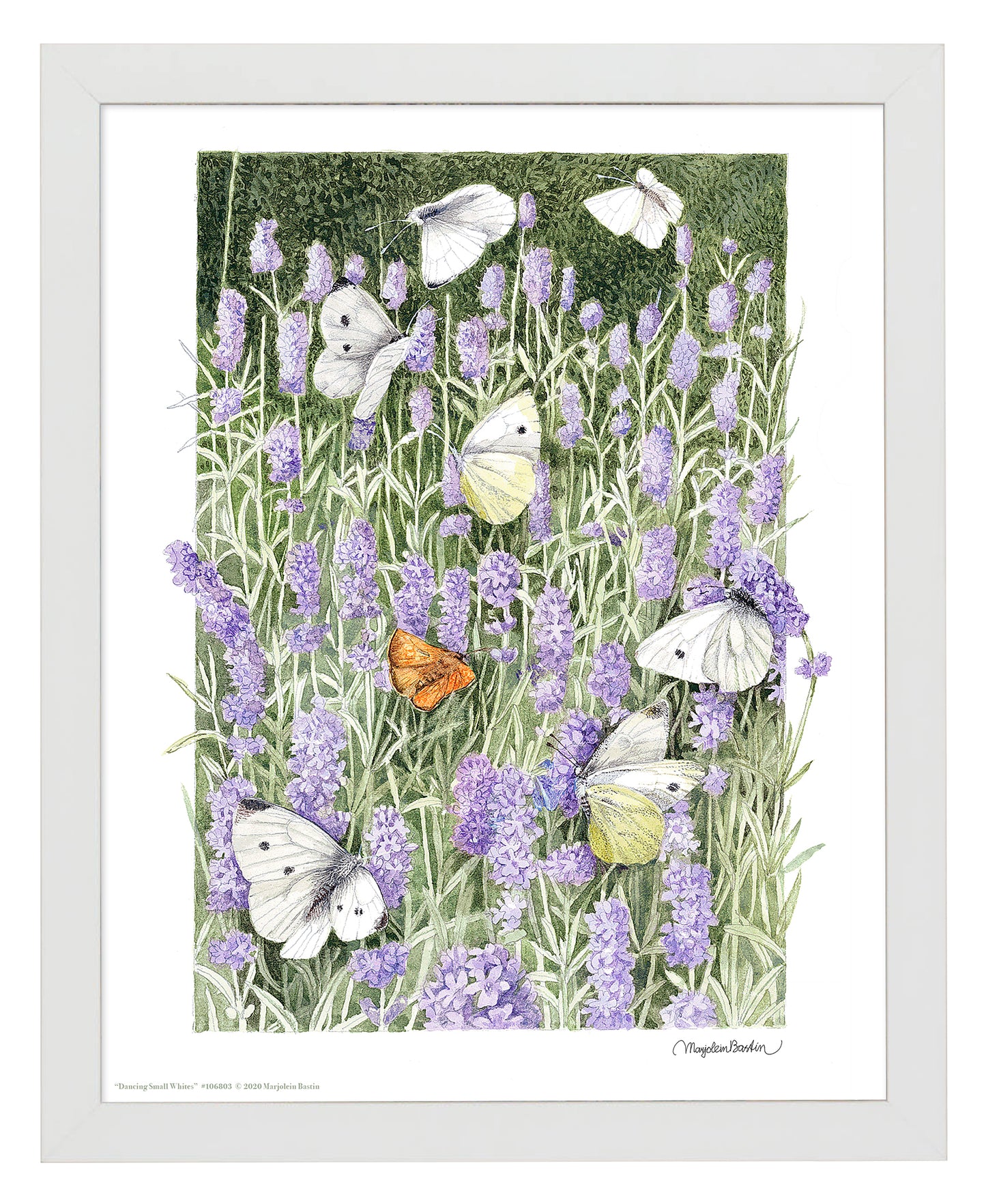 Dancing Small Whites - Art Prints