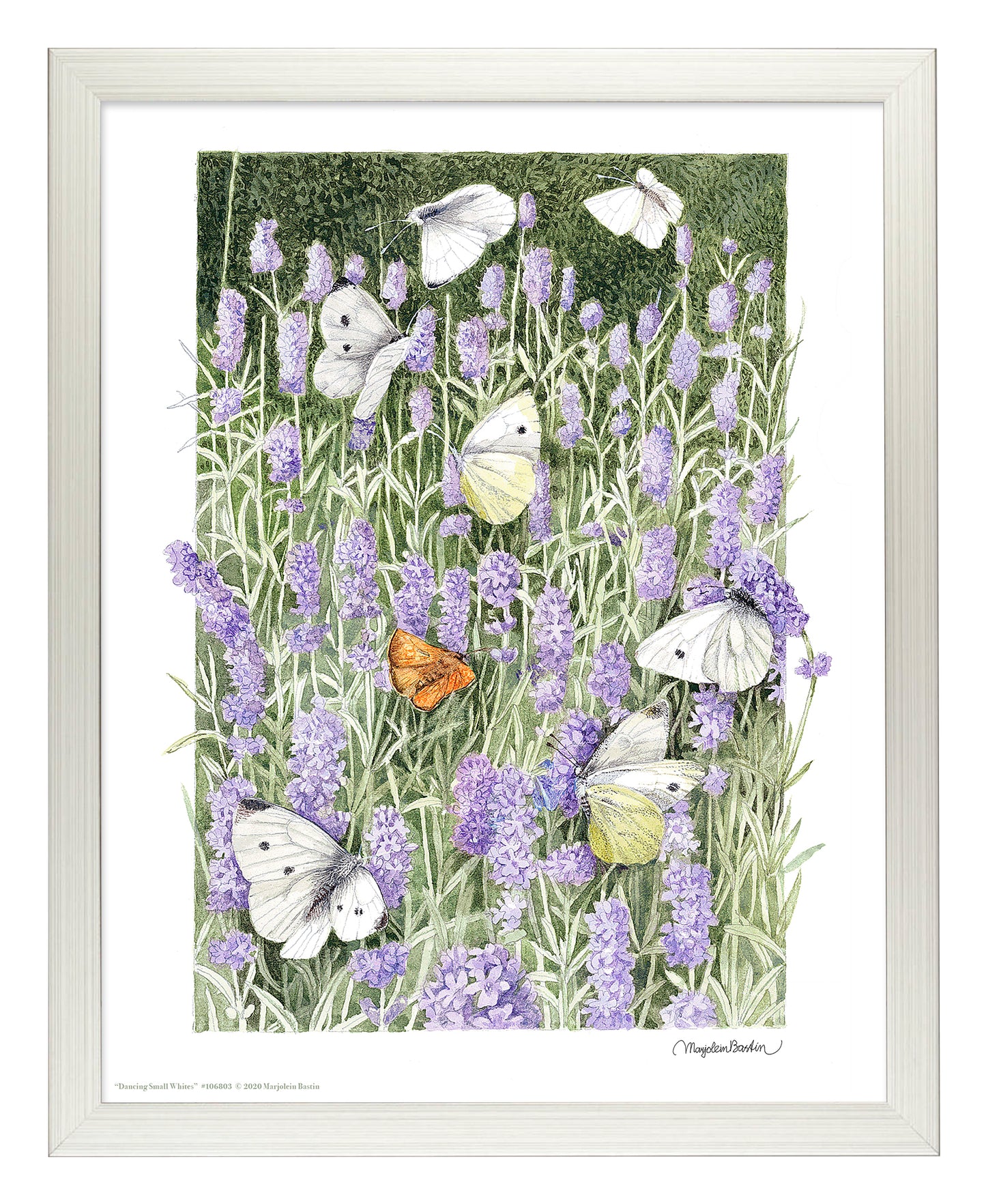 Dancing Small Whites - Art Prints