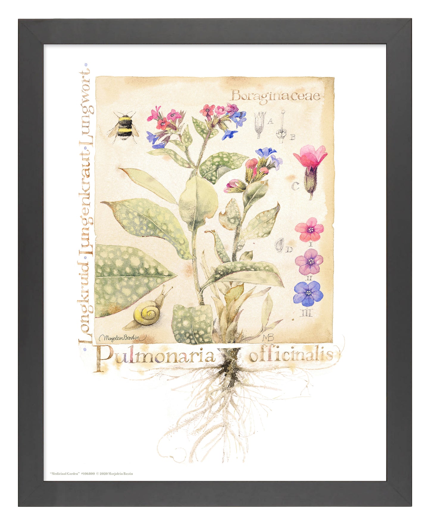 Medicinal Garden - Art Prints