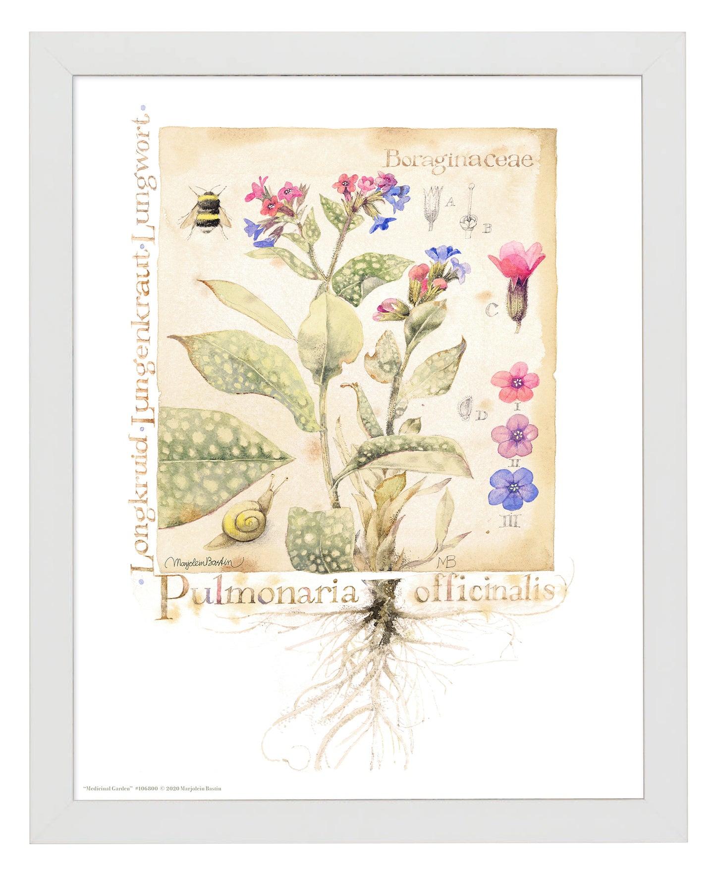 Medicinal Garden - Art Prints