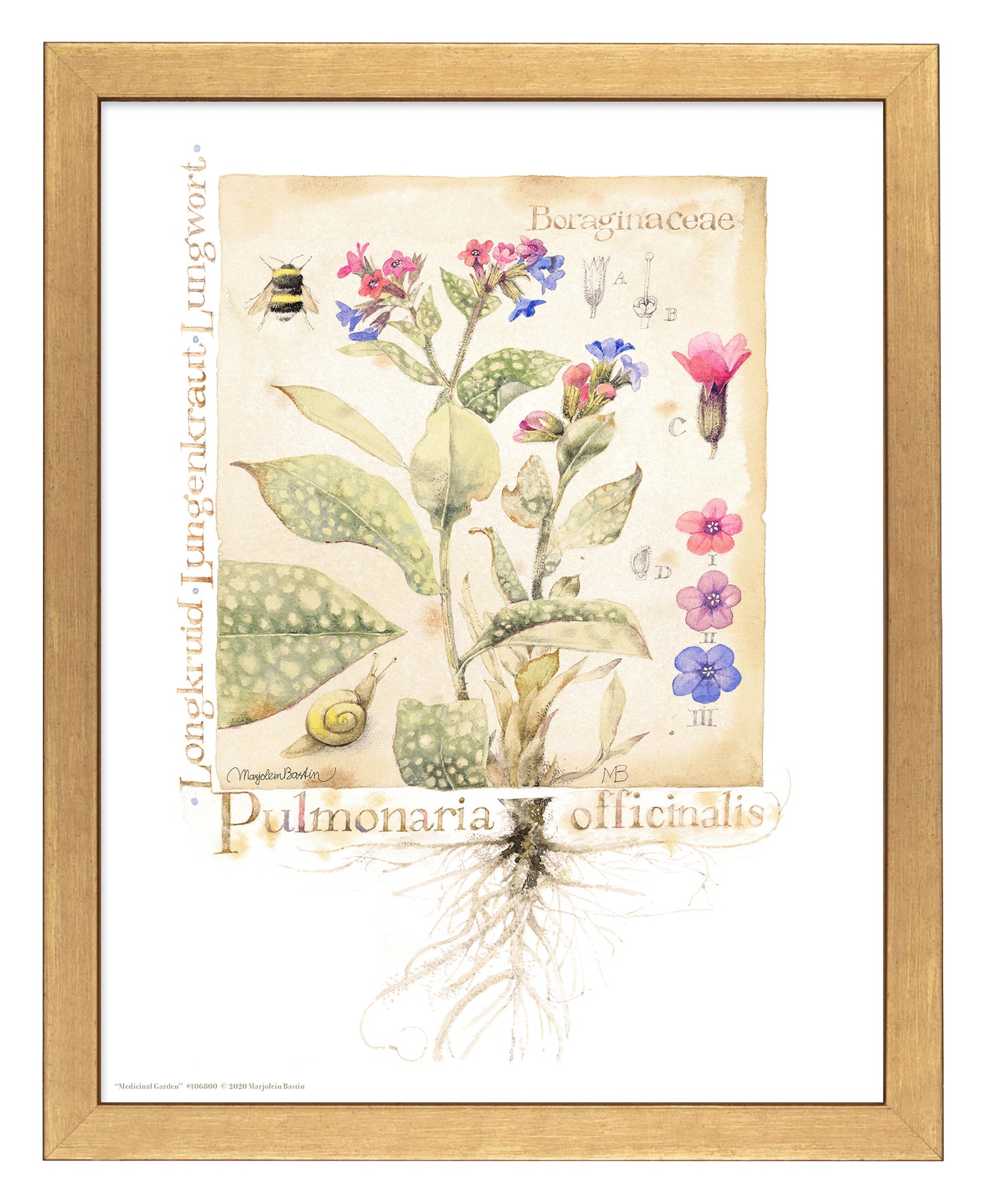 Medicinal Garden - Art Prints