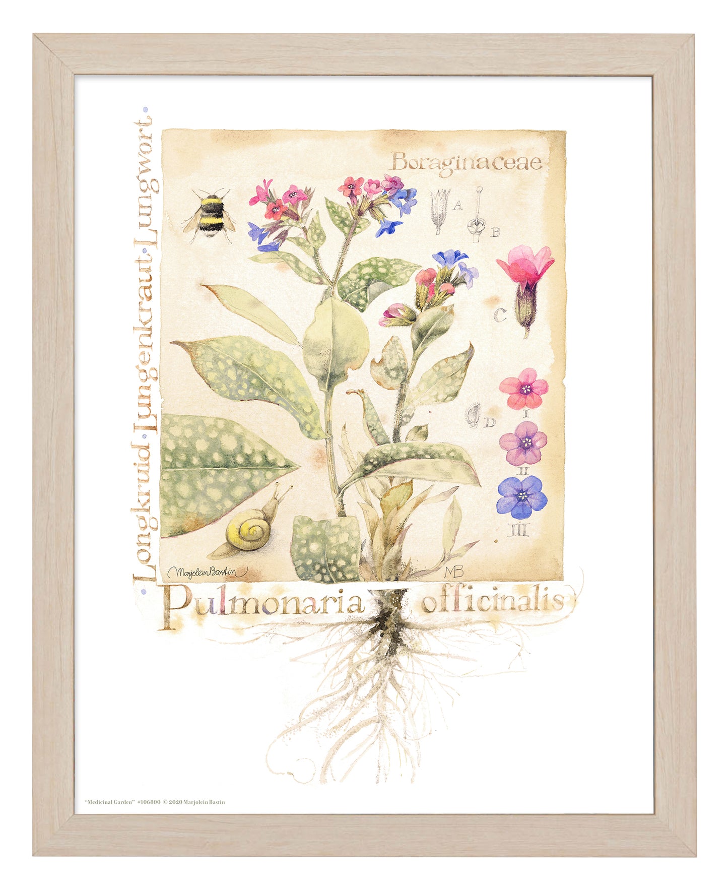 Medicinal Garden - Art Prints