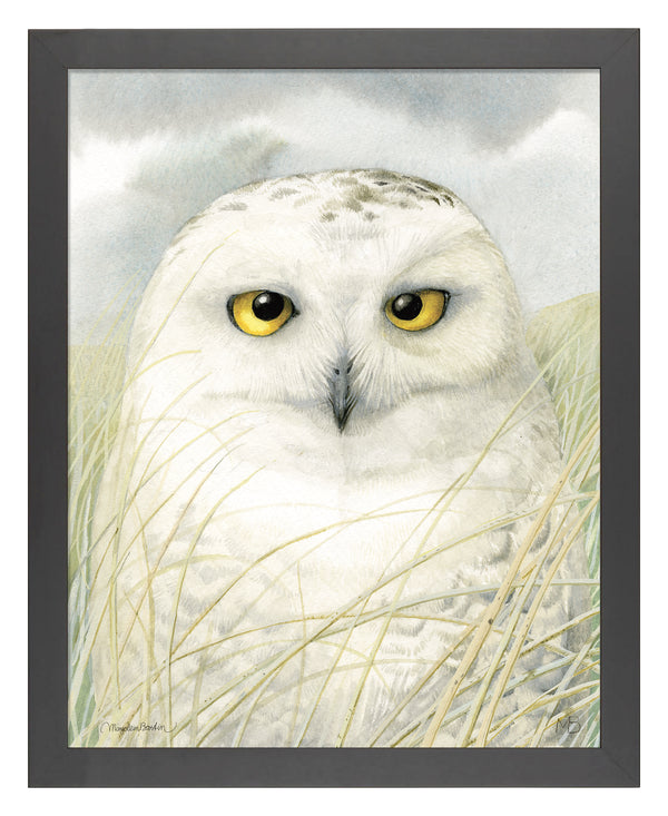 Snowy Owl Wisdom - Art Prints