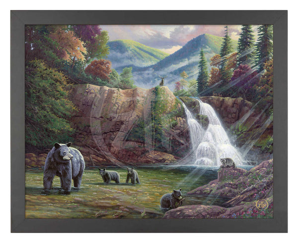 Spirit of the Smokies - Art Prints