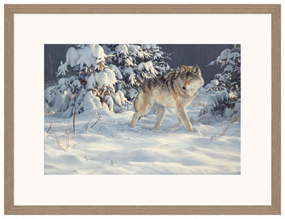 Winter Stroll — Gray Wolf - Limited Edition Paper