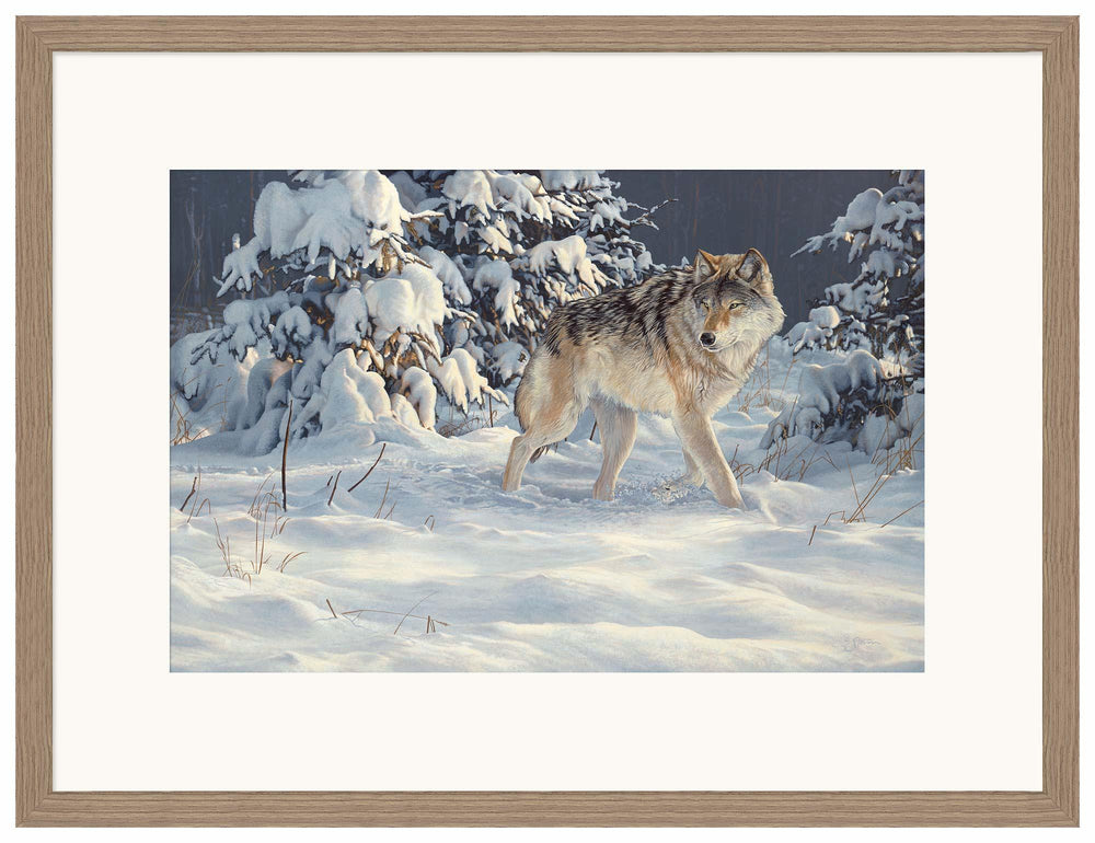 Winter Stroll — Gray Wolf - Limited Edition Paper