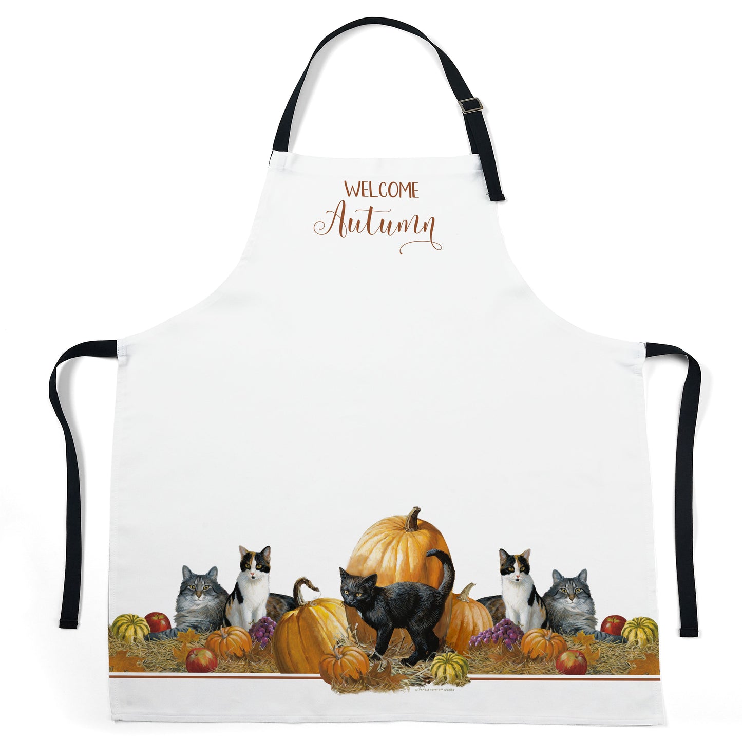 The Pumpkin Playground Collection