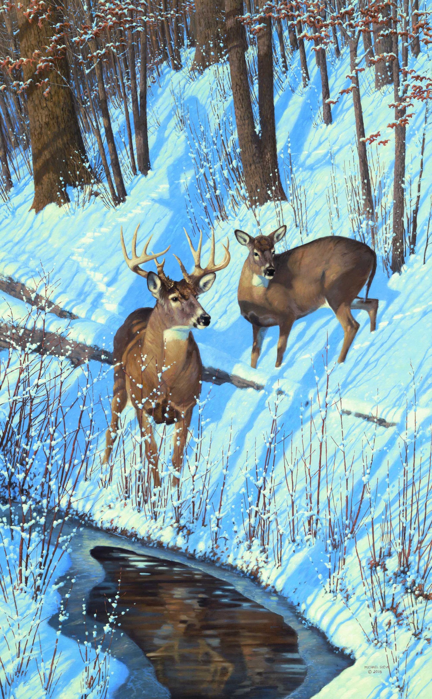 Shadows of Bow Hunting - Limited Edition Paper