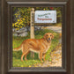 Life's a Ball—Golden Retriever - Personalized Framed Canvas