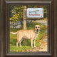 Life's a Ball—Yellow Lab - Personalized Framed Canvas