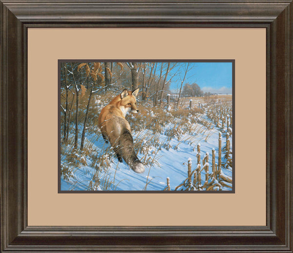 Winter—Red Fox - Signed Print Signed Print from Wild Wings