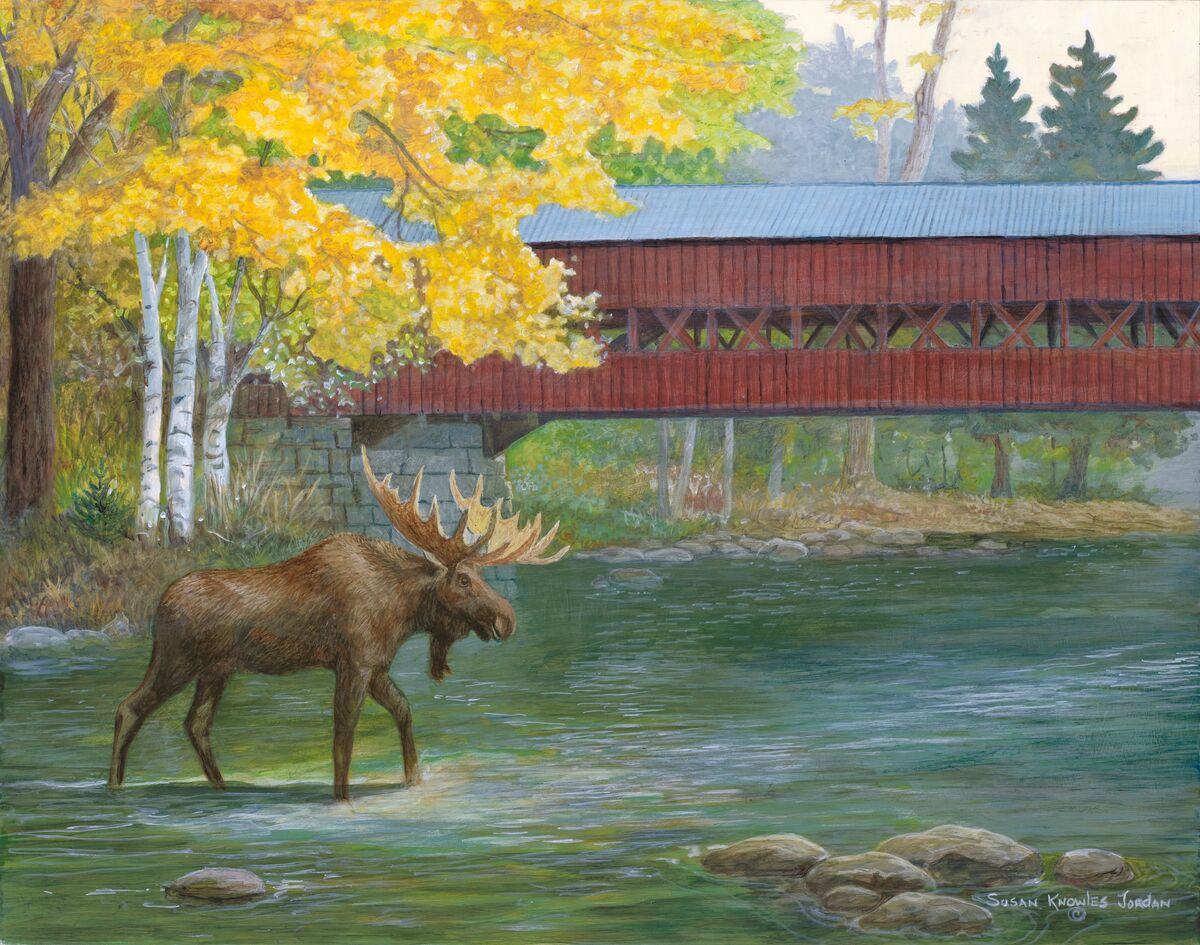 132467_Autumn Rut (1).jpg