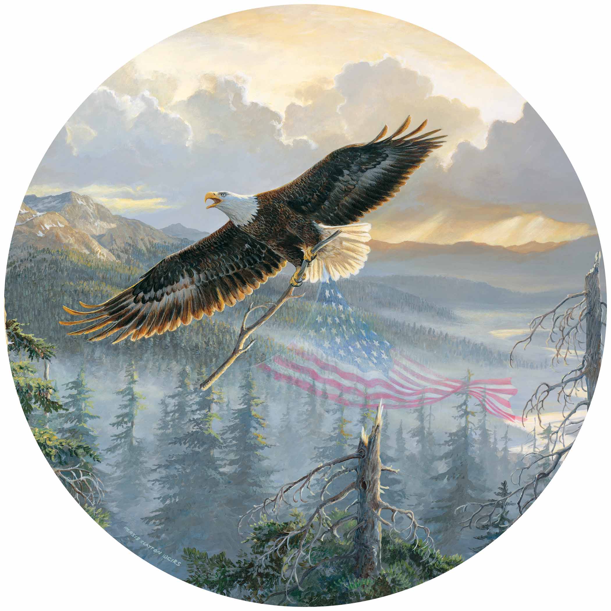 Rebuilding America—Bald Eagle - 18