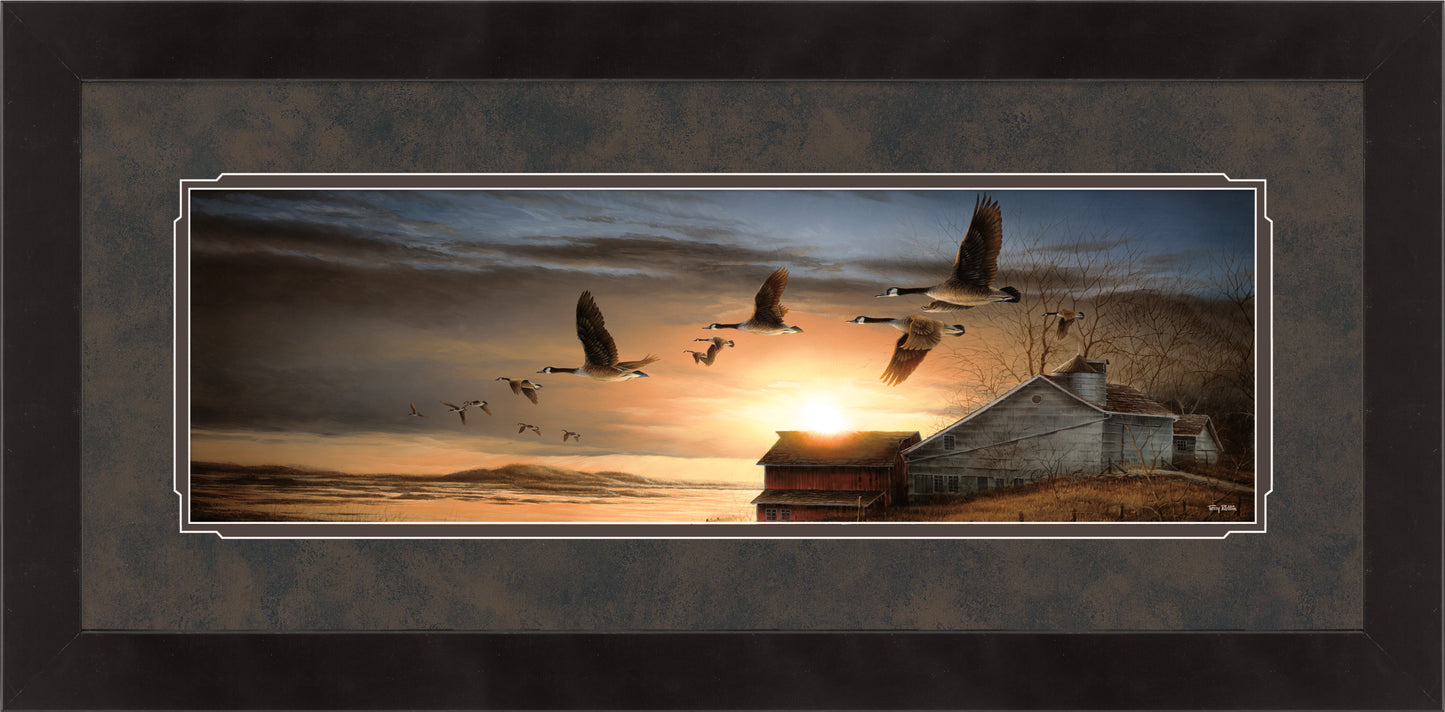 Clear View - Horizon Print