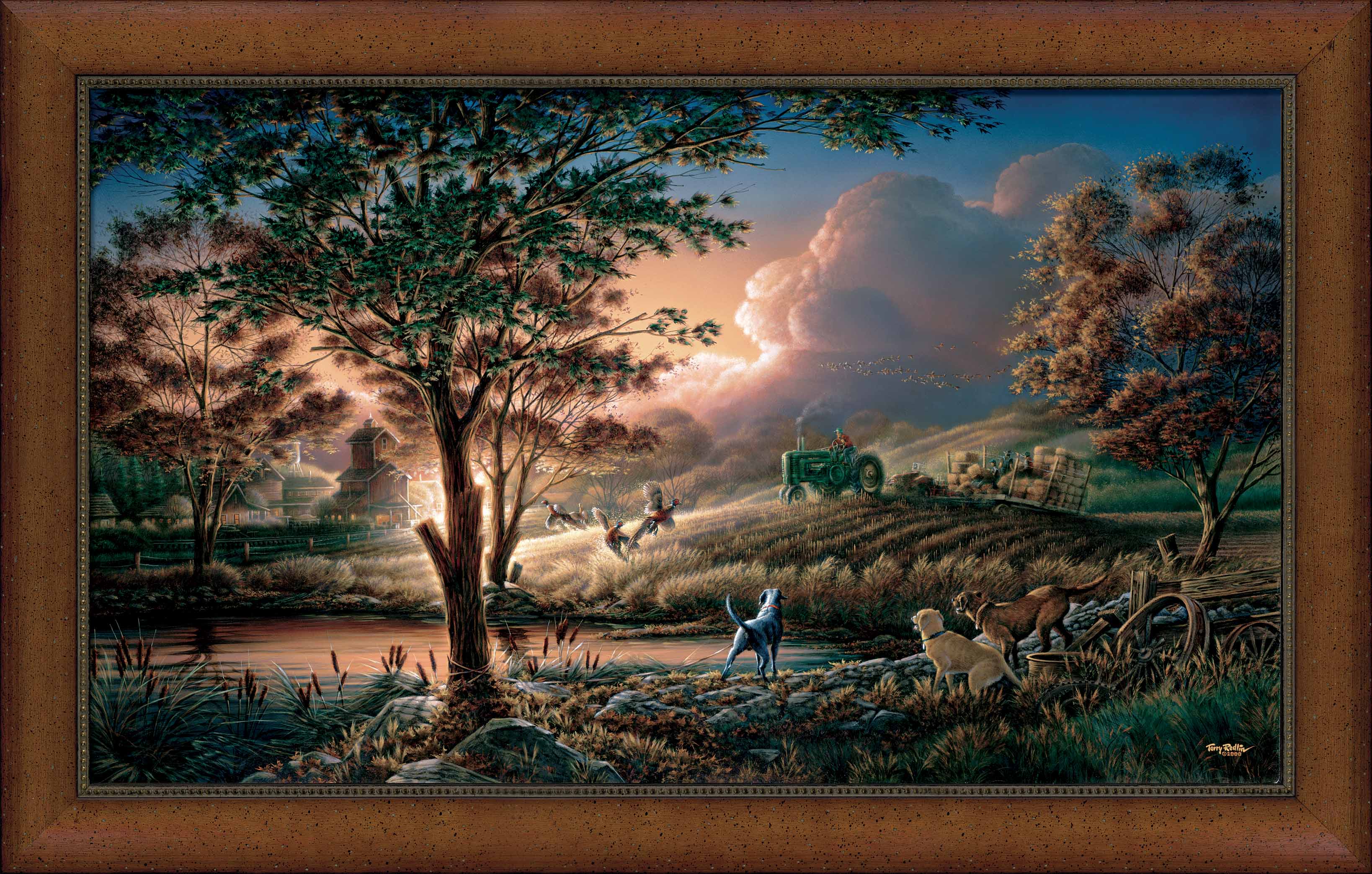 Always Alert - Museum Canvas Museum Canvas from Wild Wings