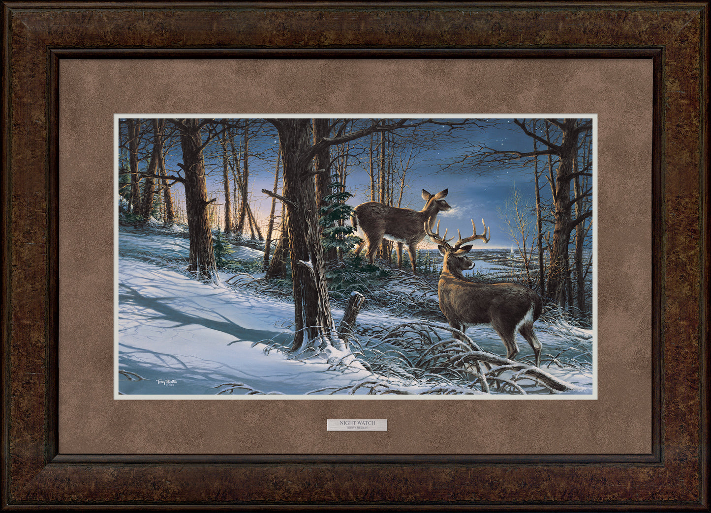 Night Watch—Whitetail Deer - Elite Print