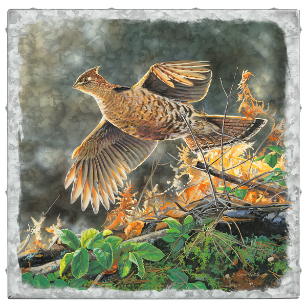 148753_20343_GRE17098_FastAndF