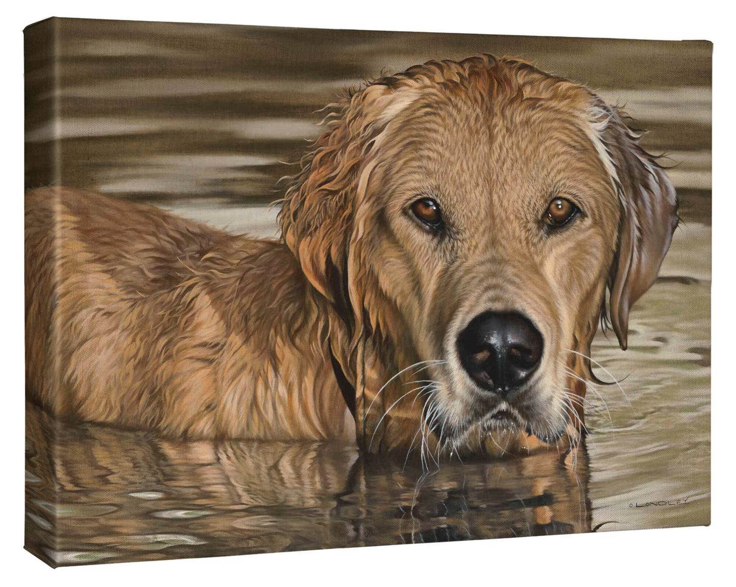 Golden Morning - 13" x 18" Gallery Wrapped Canvas