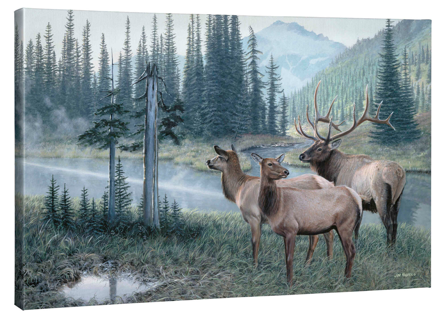 Coming Together - Elk - 24" x 36" Gallery Wrapped Canvas