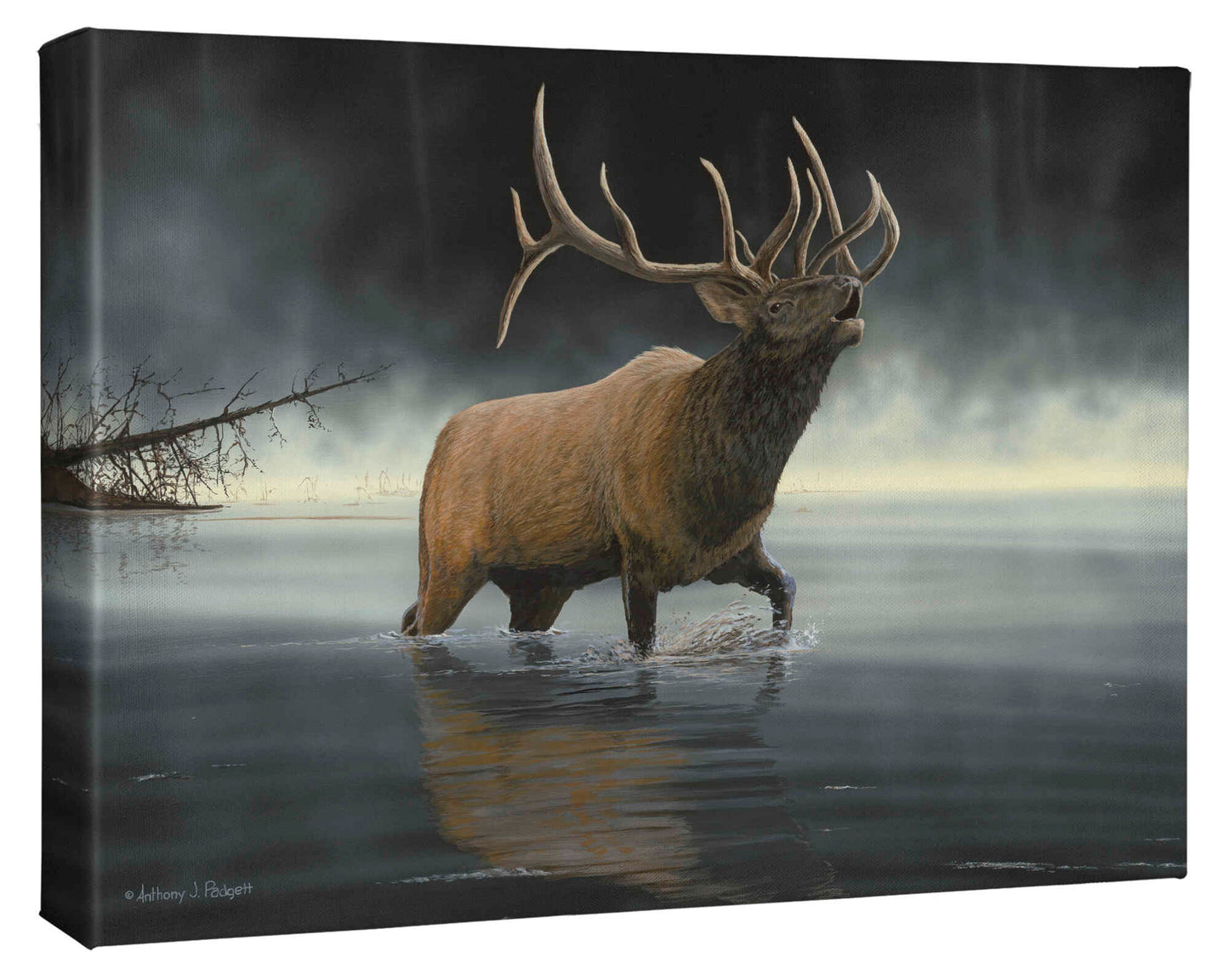 Day Break Sentinel - 13" x 18" Gallery Wrapped Canvas