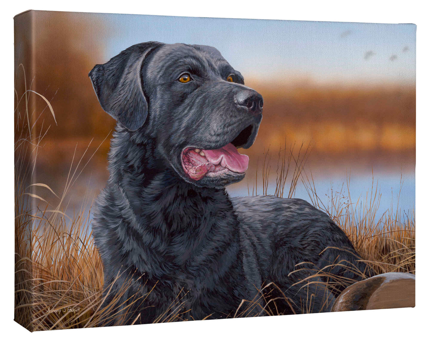 Great Expectations - 13" x 18" Gallery Wrapped Canvas