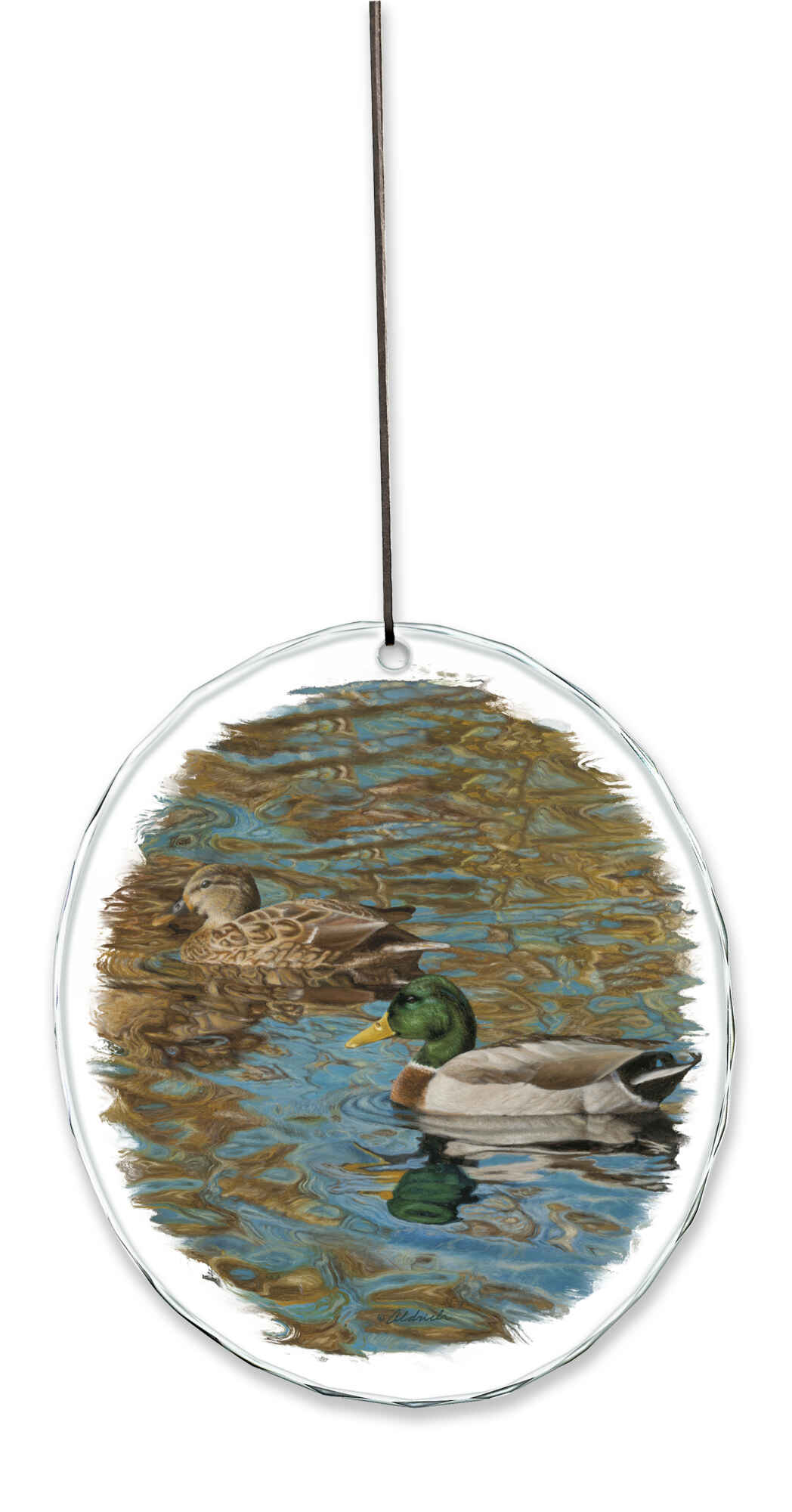 Mallards - Suncatcher