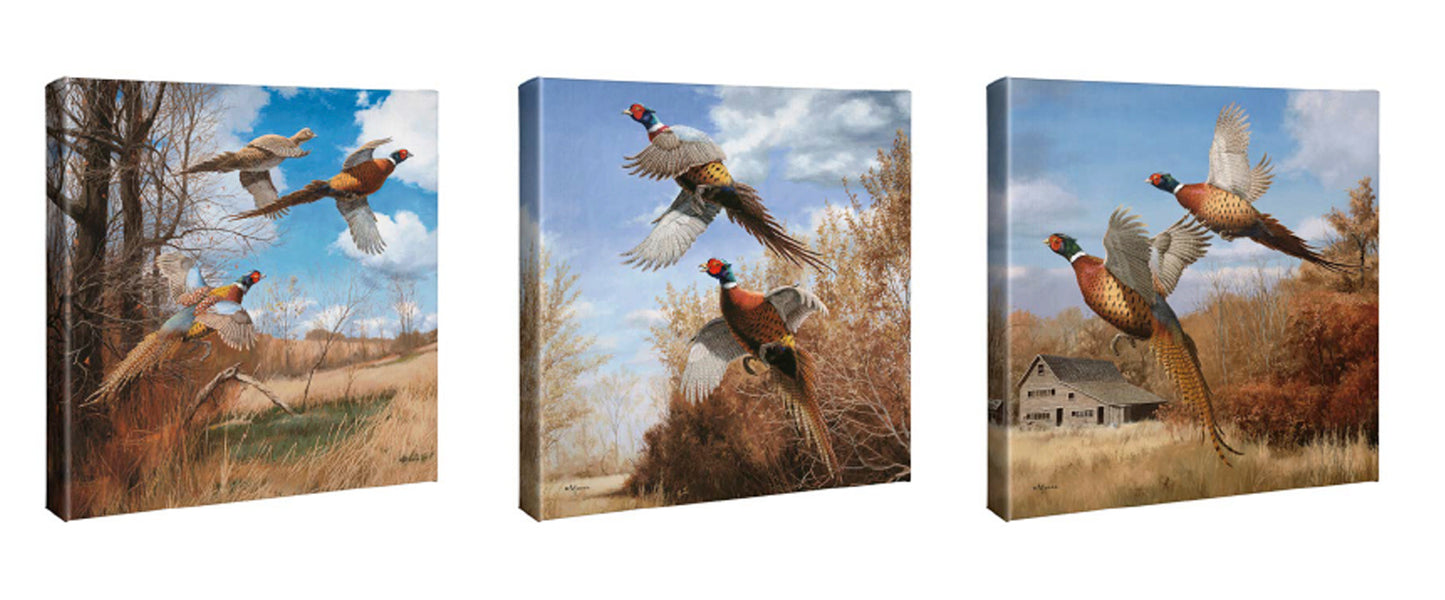 Pheasants in the Fall - 14" x 14" Gallery Wrapped Canvas (Set of 3)