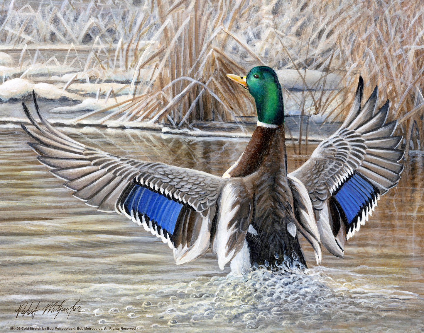 154409_Cold Stretch_11x14_GFT.jpg