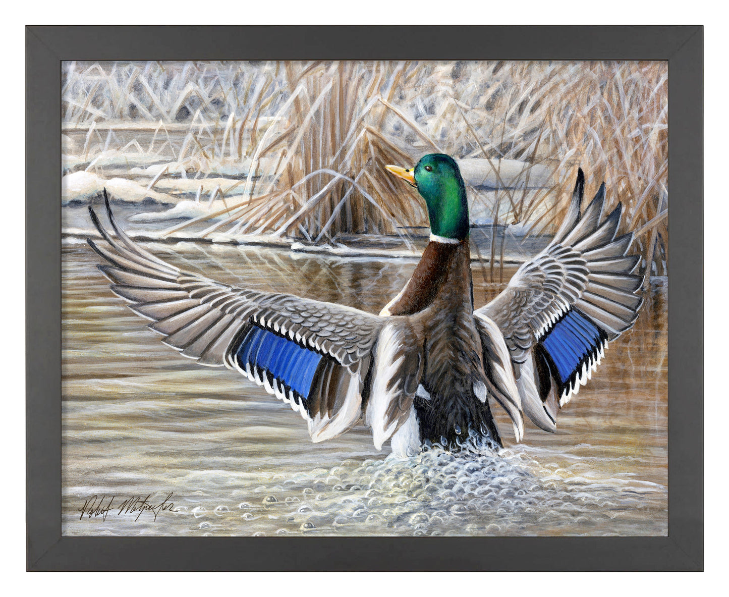 154410_Cold Stretch_11x14_Black_FRA.jpg