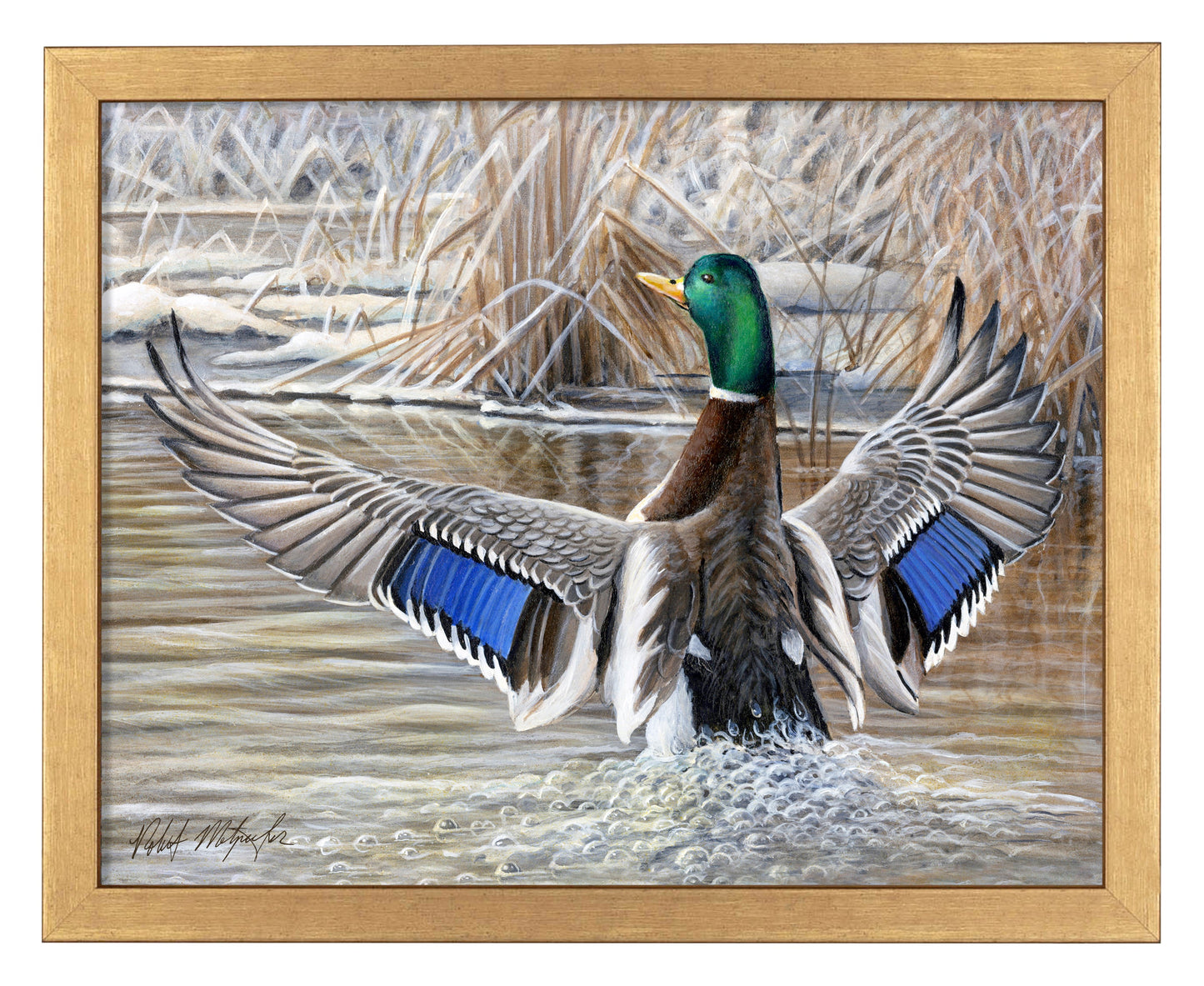 154411_Cold Stretch_11x14_Gold_FRA.jpg