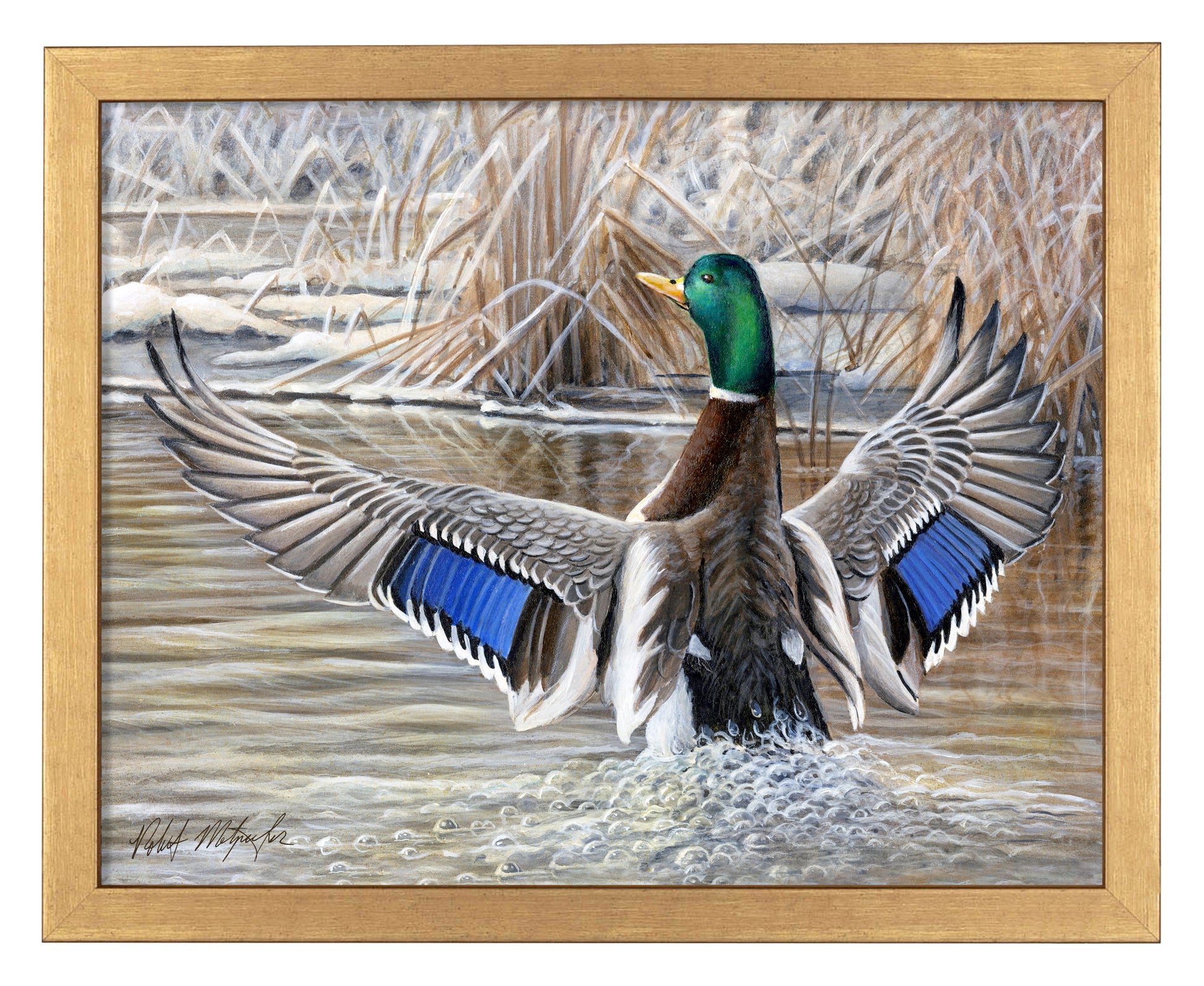 154411_Cold Stretch_11x14_Gold_FRA.jpg