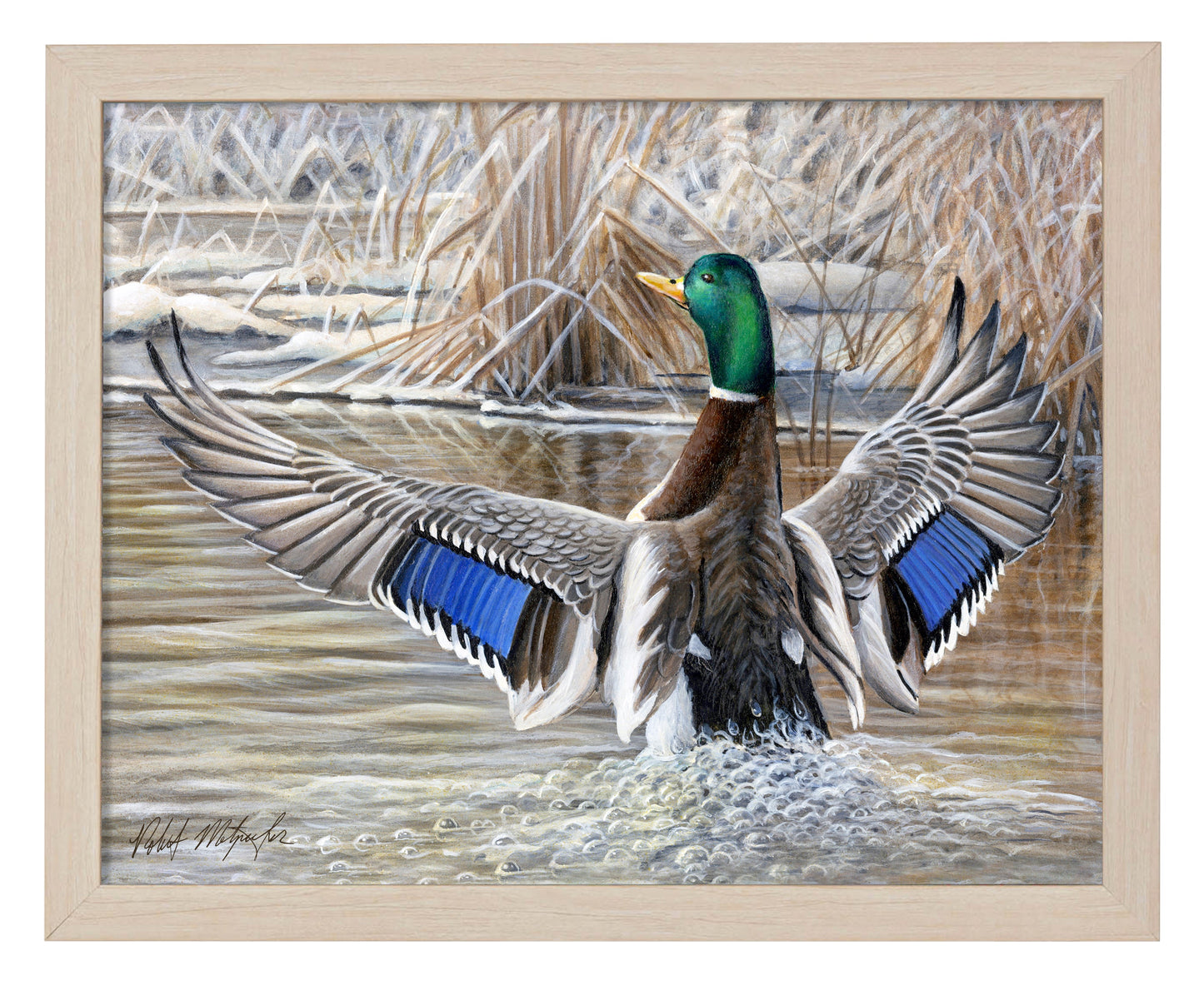 154412_Cold Stretch_11x14_Natural_FRA.jpg