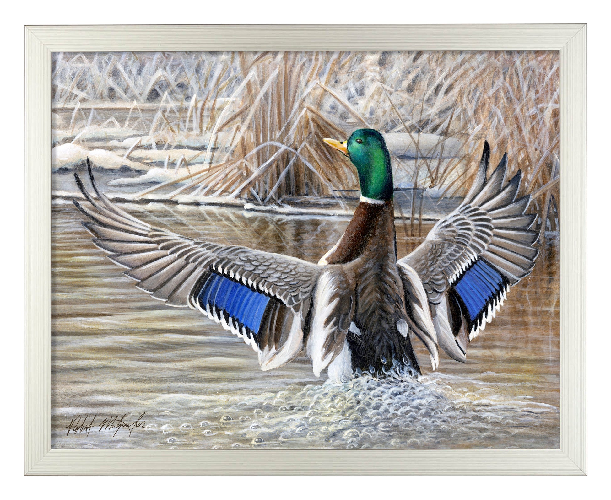 154413_Cold Stretch_11x14_Silver_FRA.jpg