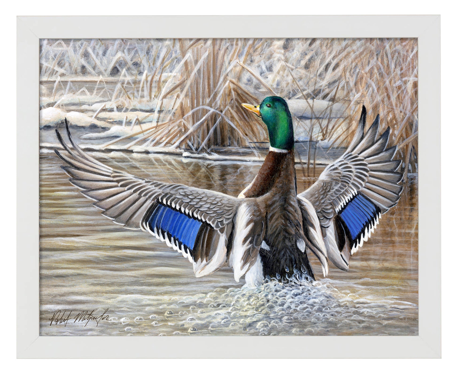 154414_Cold Stretch_11x14_White_FRA.jpg