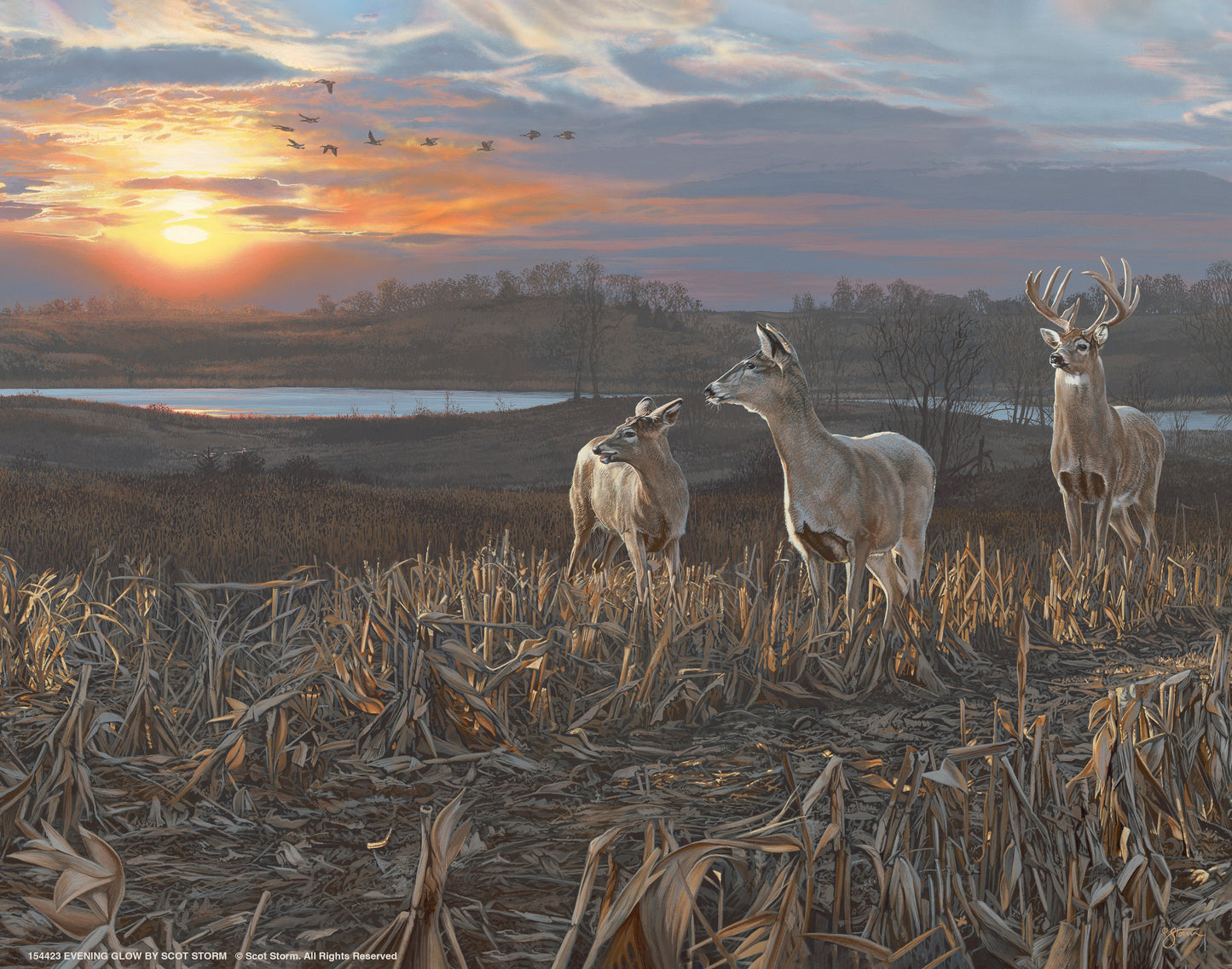 154423_Evening Glow_11x14_GFT.jpg