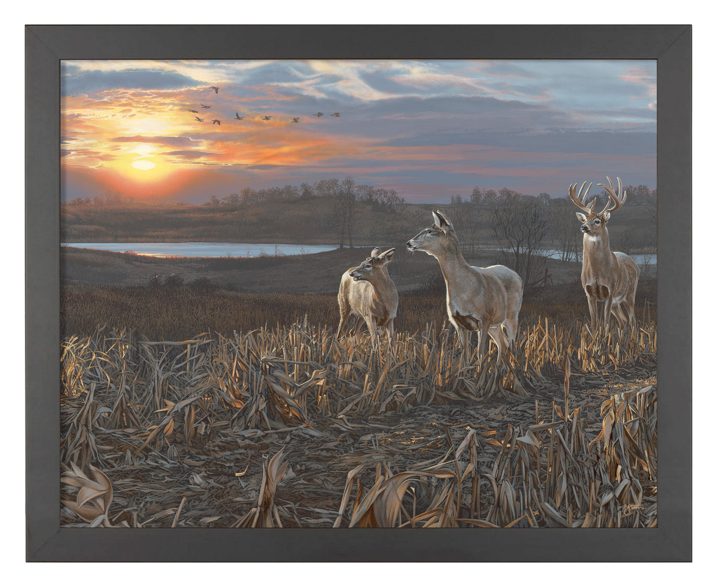 154424_Evening Glow_11x14_FRA_Black_102640.jpg