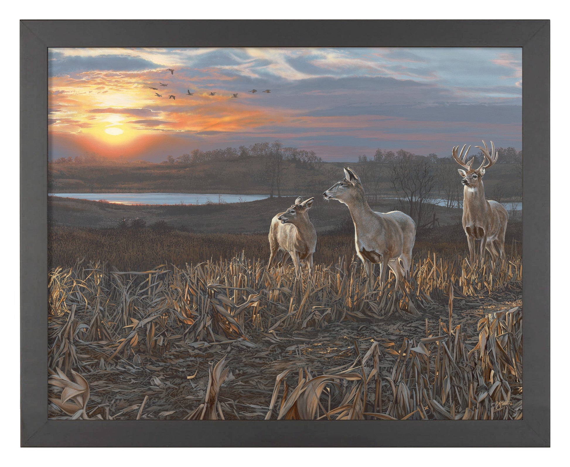 154424_Evening Glow_11x14_FRA_Black_102640.jpg