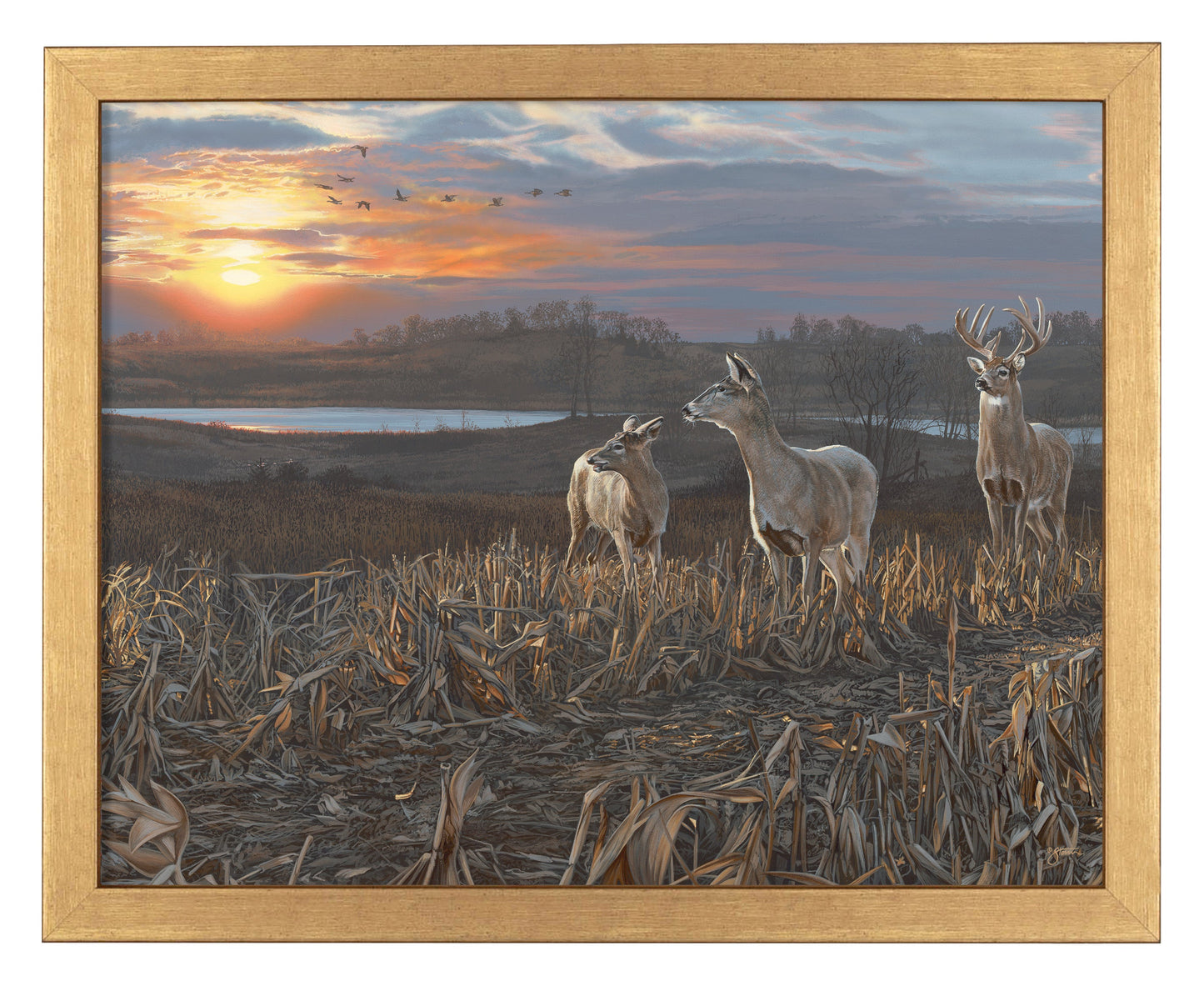 154425_Evening Glow_11x14_FRA_Gold_102643.jpg