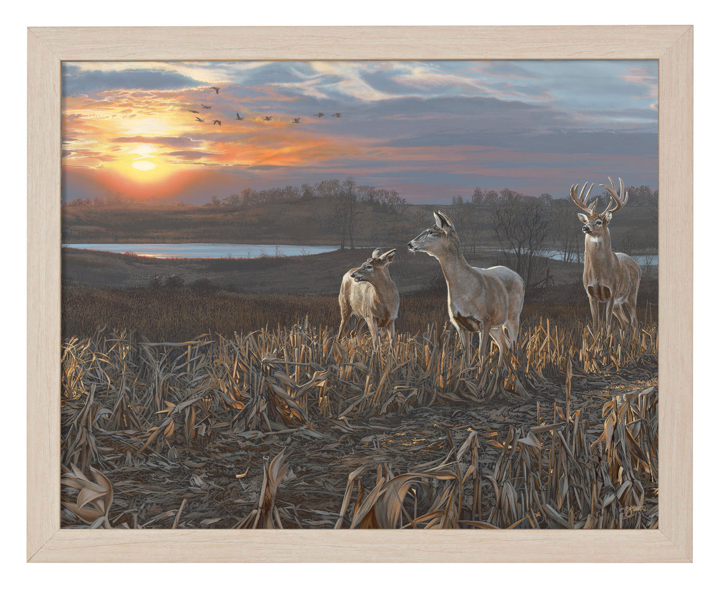 154426_Evening Glow_11x14_FRA_Natural_102644.jpg