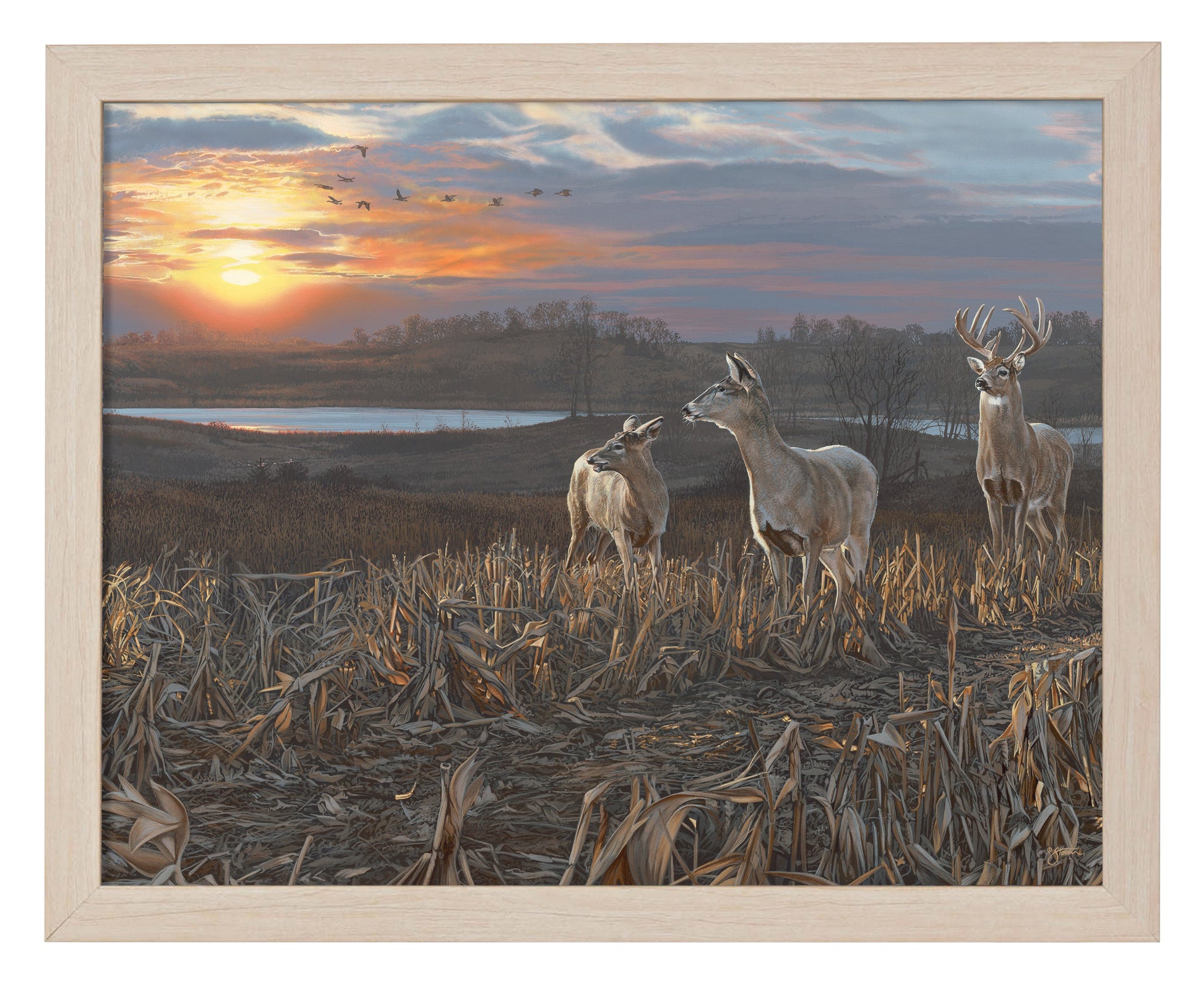 154426_Evening Glow_11x14_FRA_Natural_102644.jpg