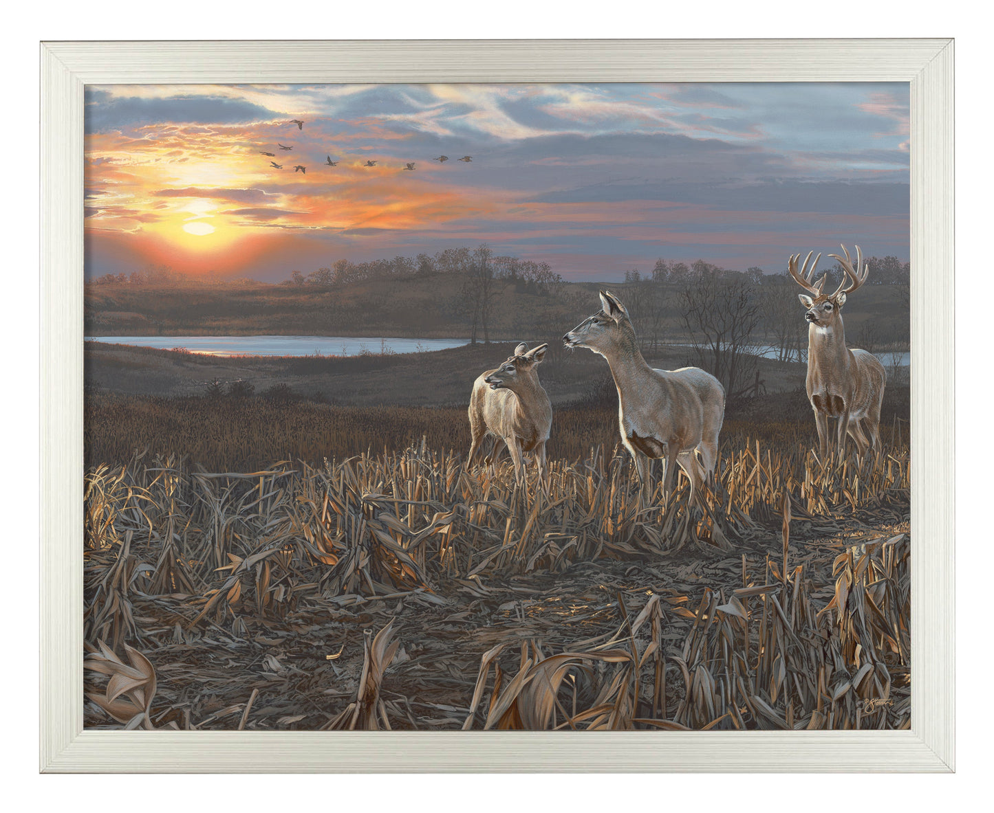 154427_Evening Glow_11x14_FRA_Silver_102642.jpg