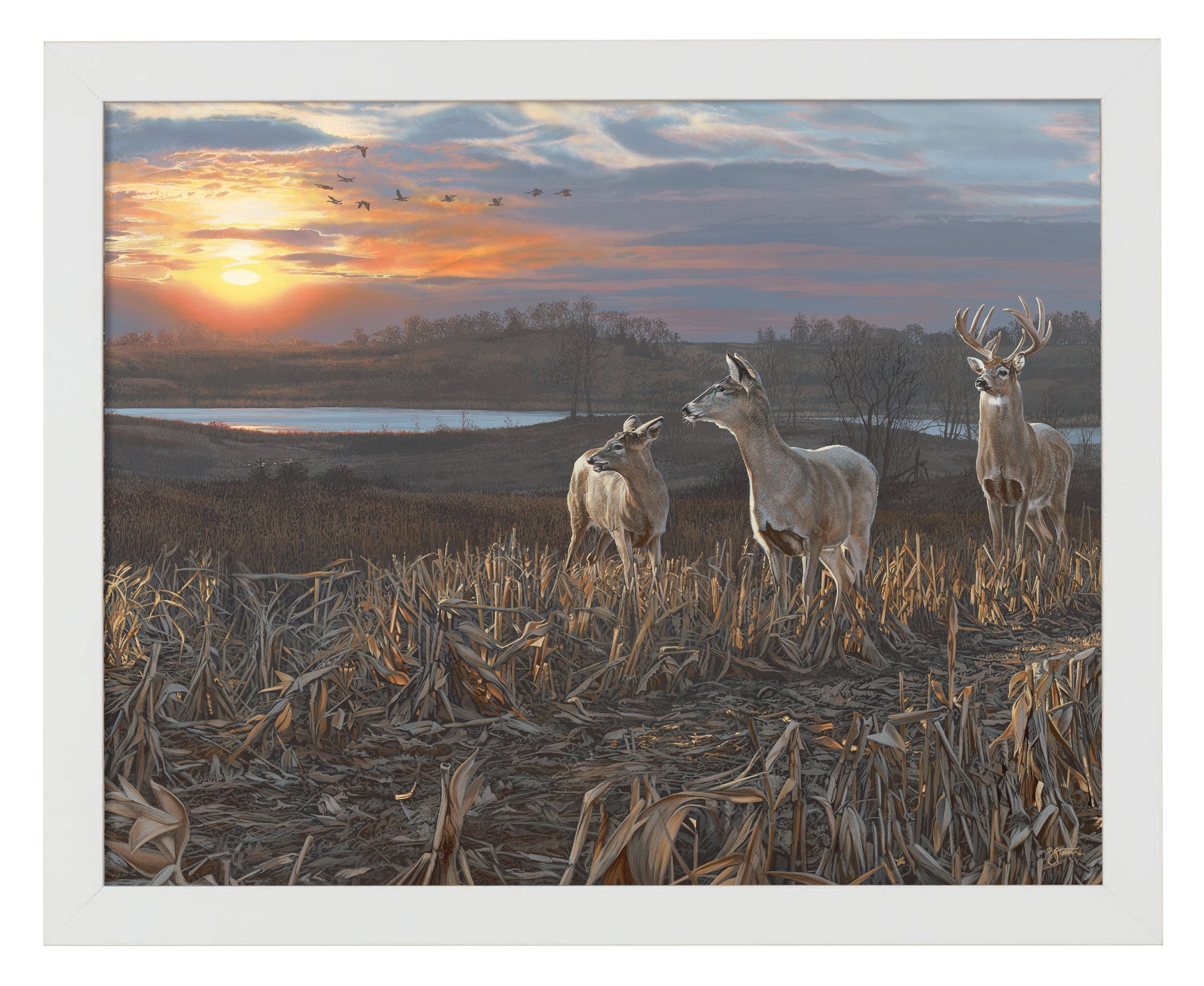 154428_Evening Glow_11x14_FRA_White_102641.jpg