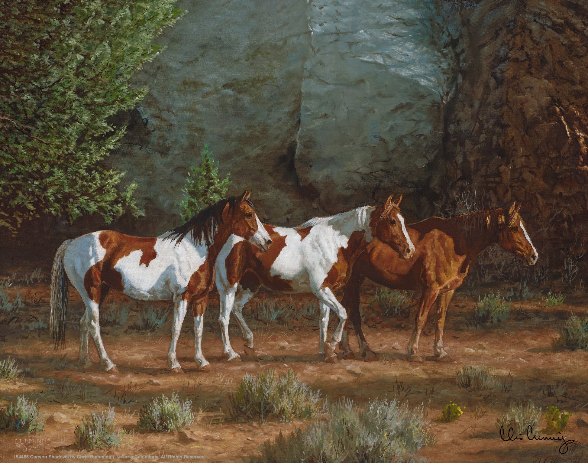 154465_Canyon Shadows_11x14_GFT.jpg