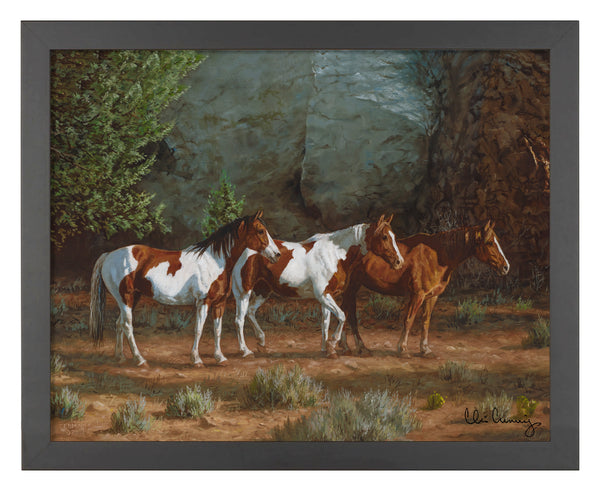 154466_Canyon Shadows_11x14_Black_FRA.jpg