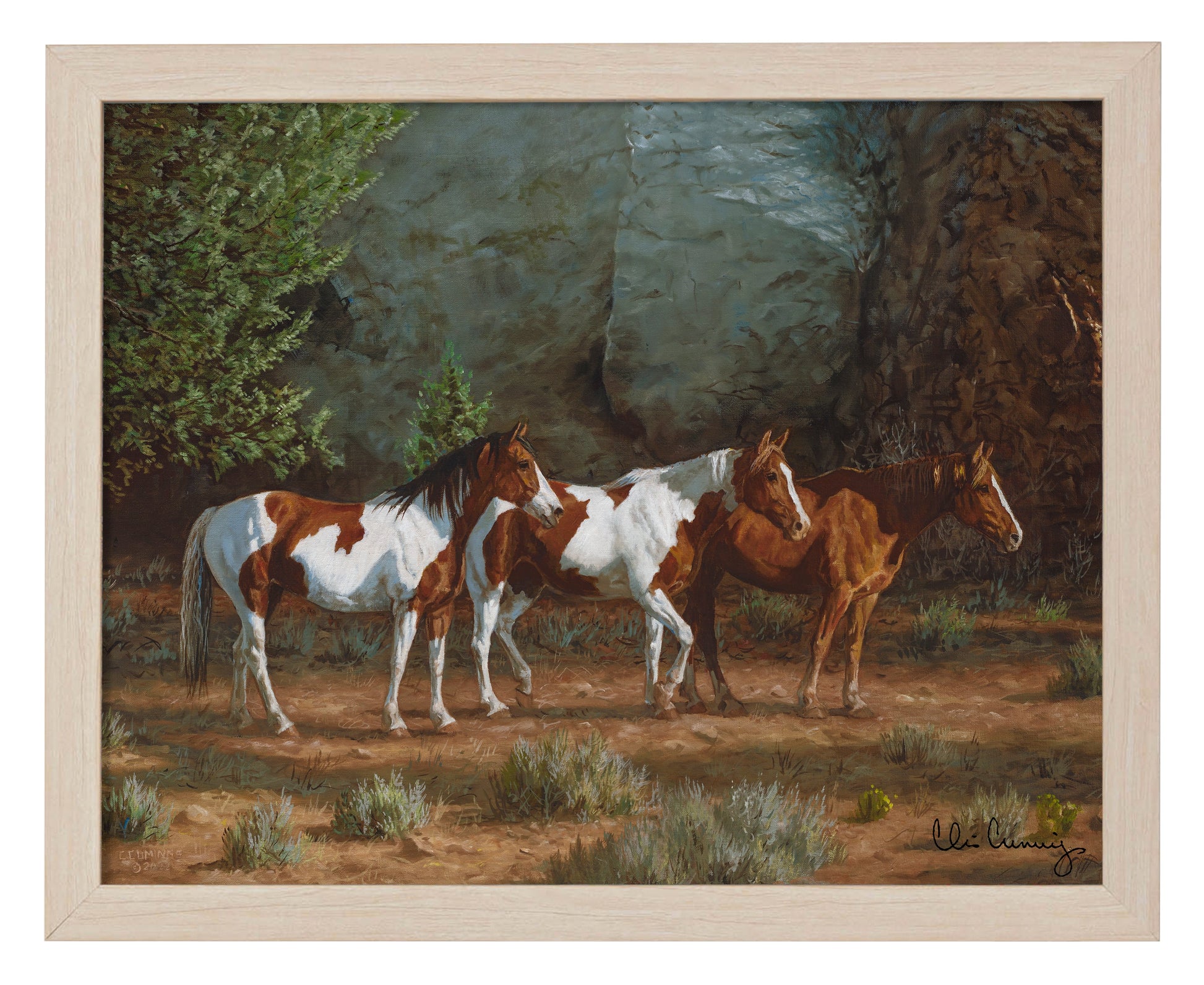 154468_Canyon Shadows_11x14_Natural_FRA.jpg