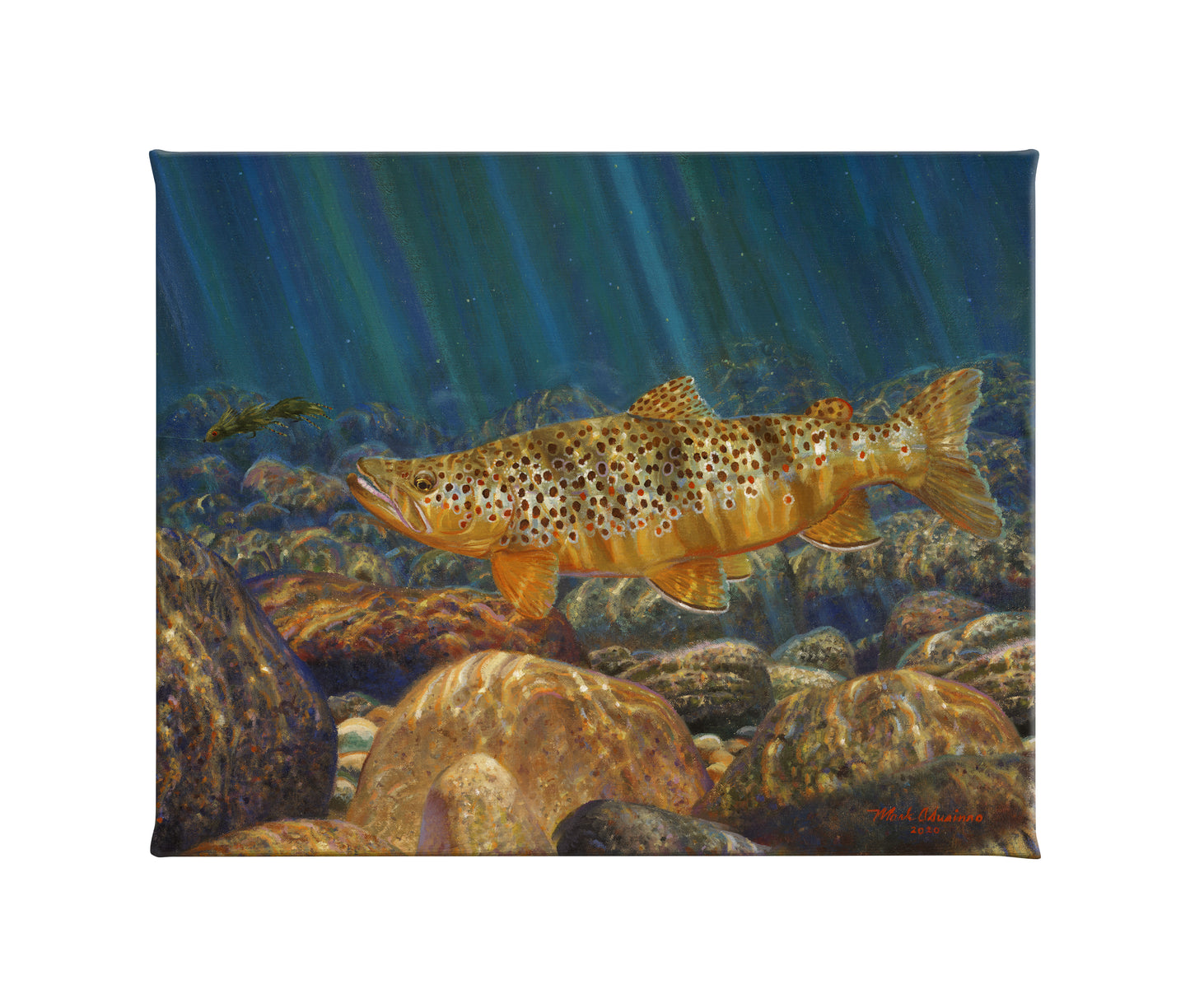 Size Matters - 16 x 20.5 Gallery Wrapped Canvas